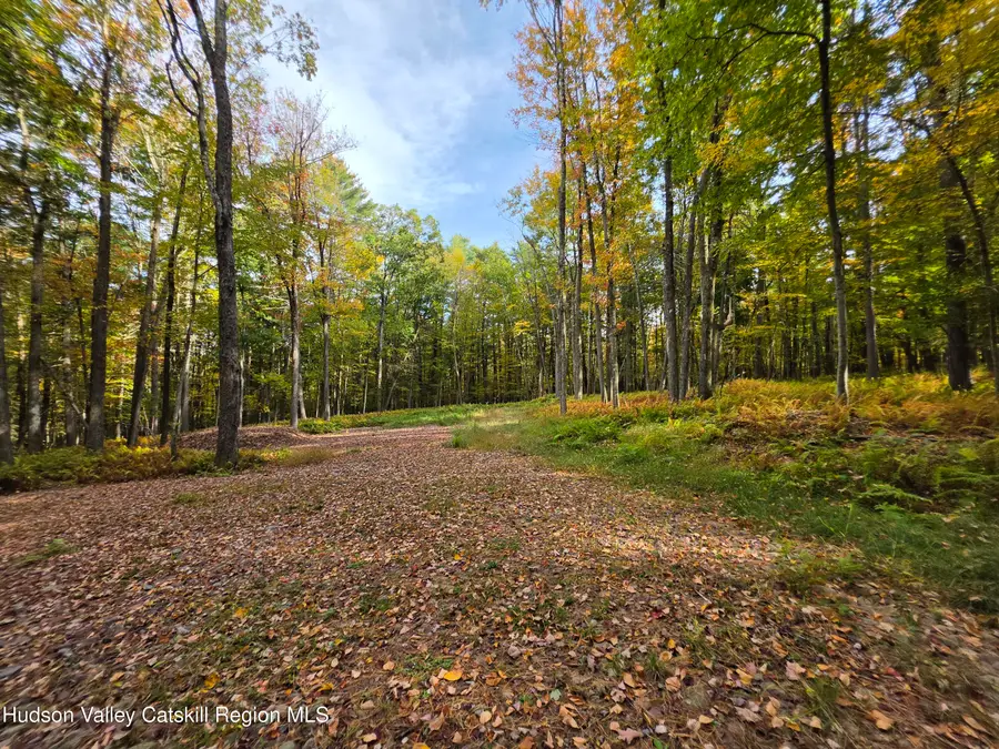 Lot 36 Evergreen Lane, Narrowsburg, NY 12764 - #3