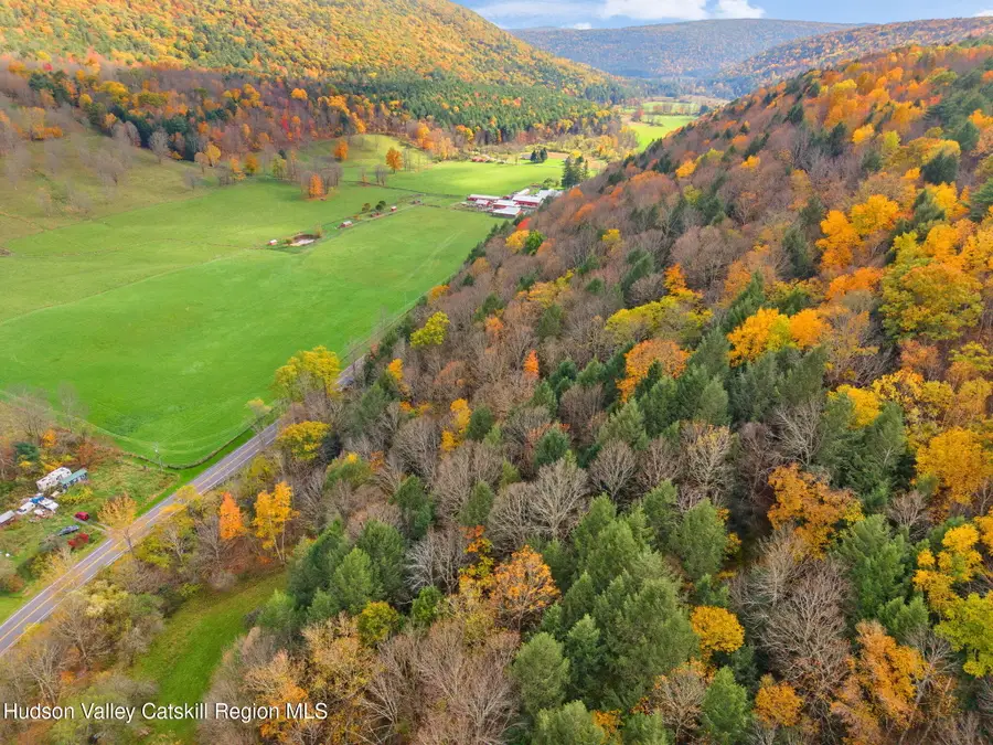 1259 W Fulton Road, Warnerville, NY 12187 - #3