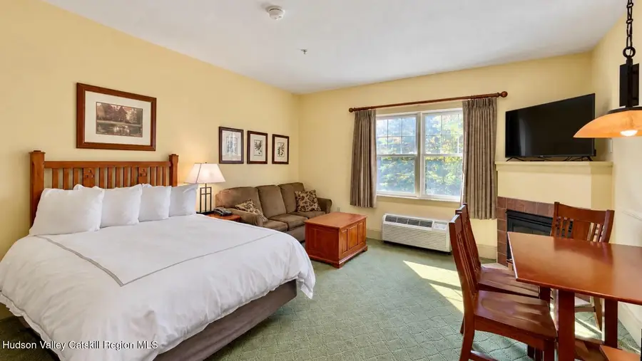 62 Liftside Drive #221, Hunter, NY 12442 - #3