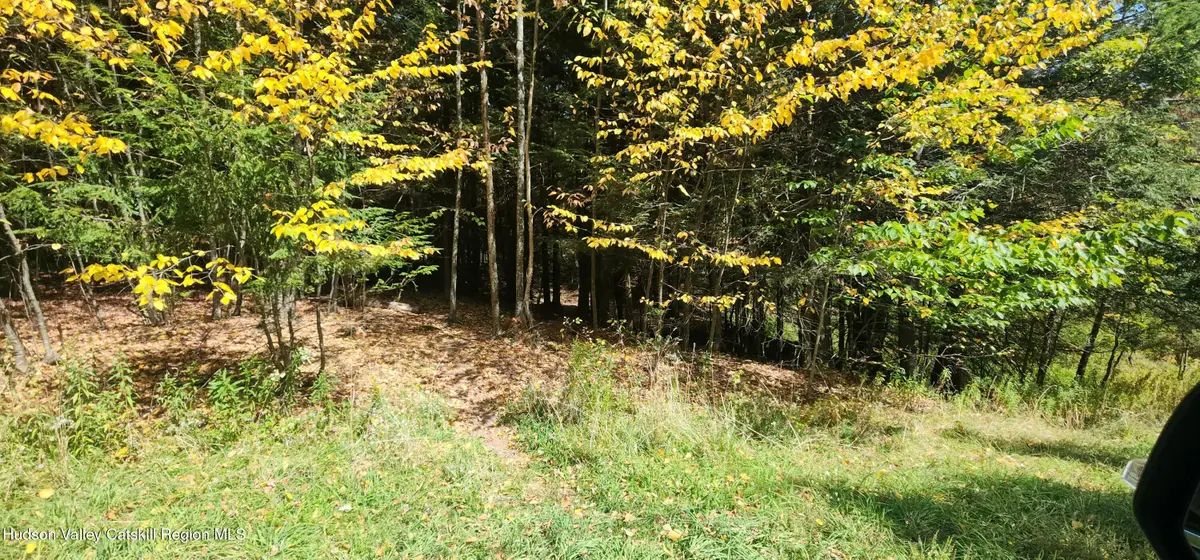 128 Brittany Hill Road, Jewett, NY 12444 - #1