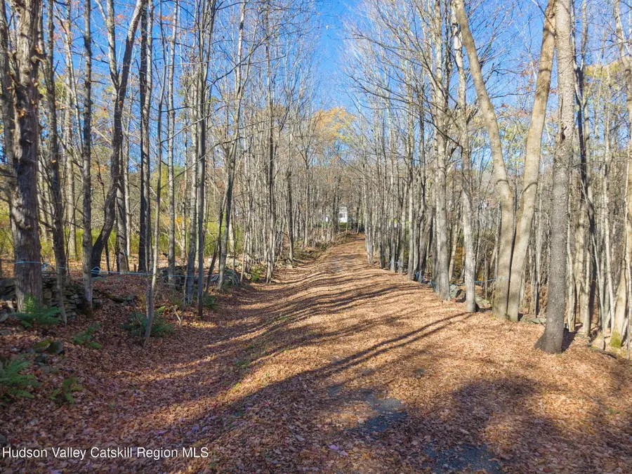 179 Rossman Hill Road, Summit, NY 12175 - #2
