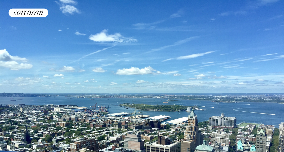 388 Bridge Street #43H, Brooklyn, NY 11201 - #1