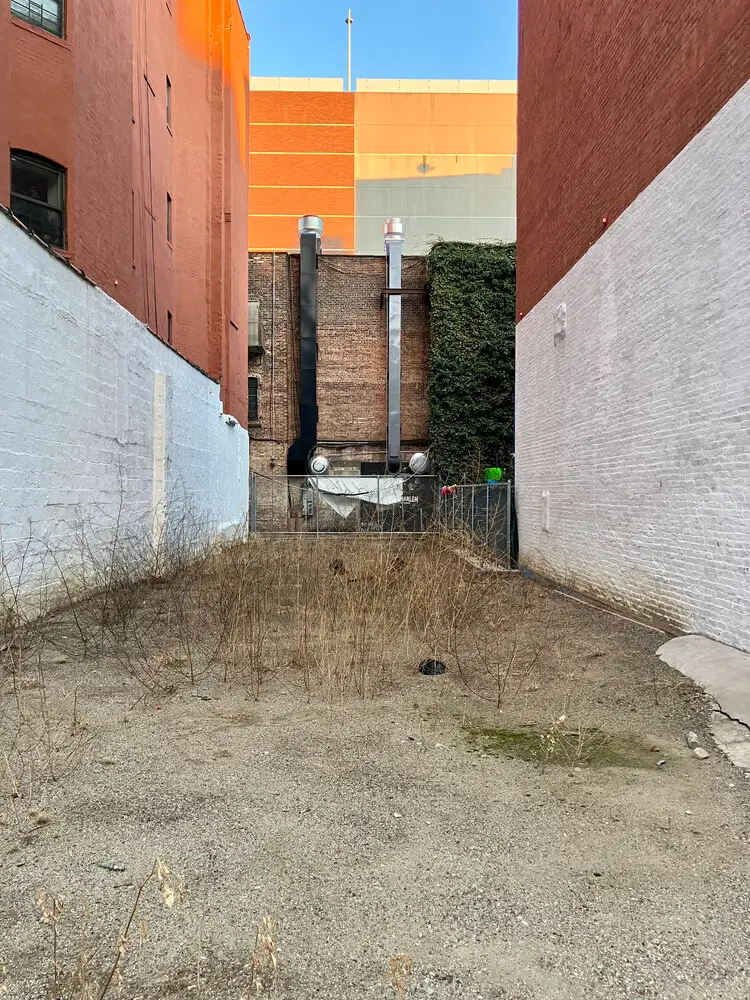 316 Pleasant Avenue, Manhattan, NY 10035 - #2