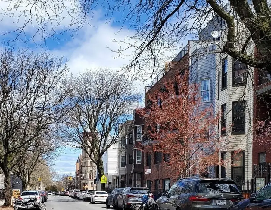 964 Madison Street, Brooklyn, NY 11221 - #3