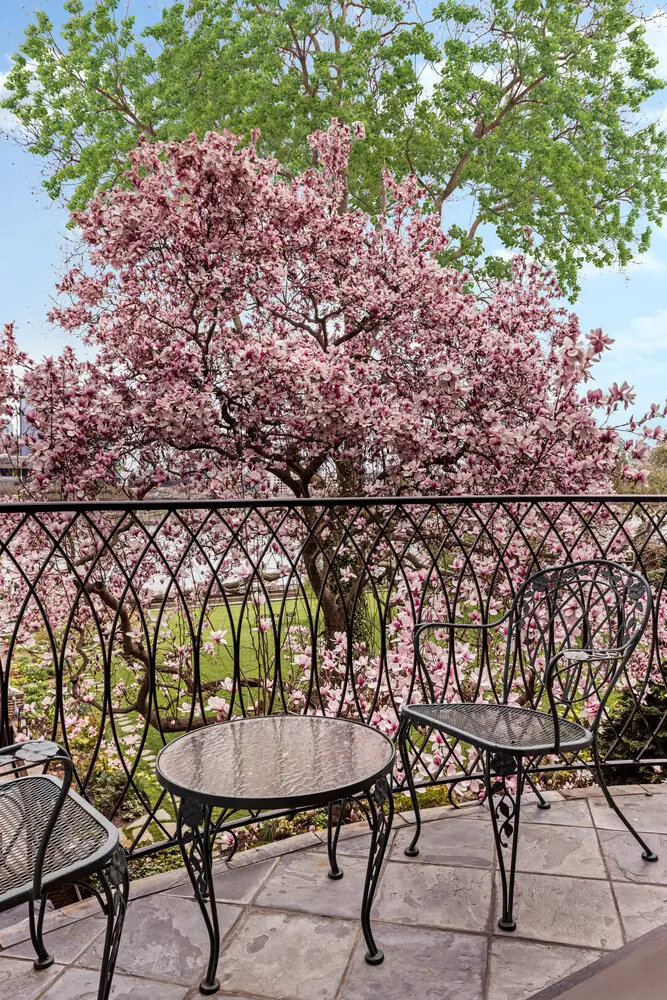 15 Sutton Place, Manhattan, NY 10022 - #2