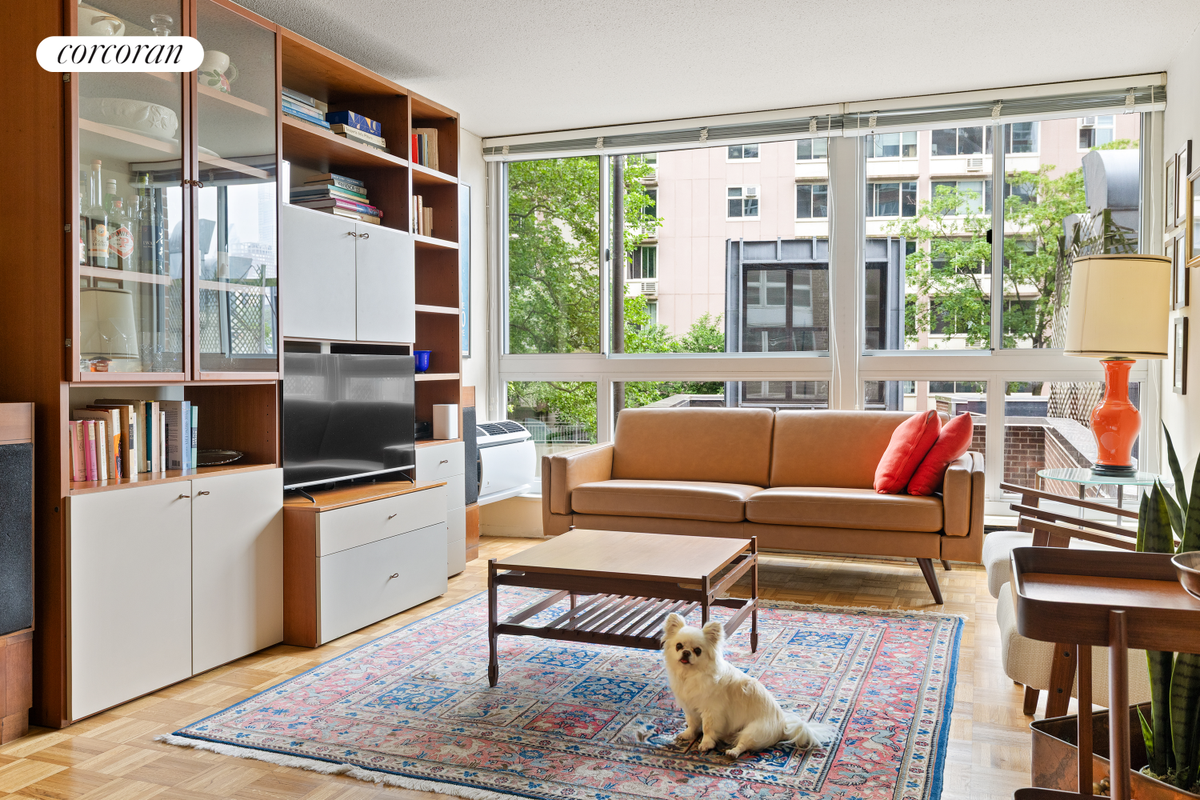 595 Main Street #204, Manhattan, NY 10044 - #1