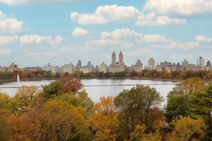 1107 5th Avenue #9N, Manhattan, NY 10128 - #2