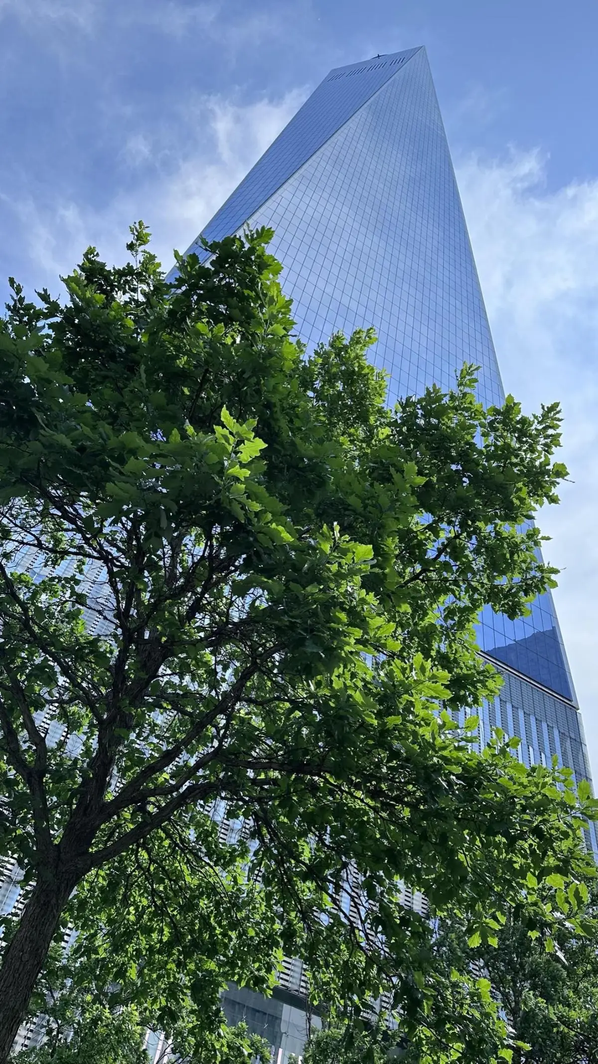 376 Broadway #7-C, Manhattan, NY 10013 - #1