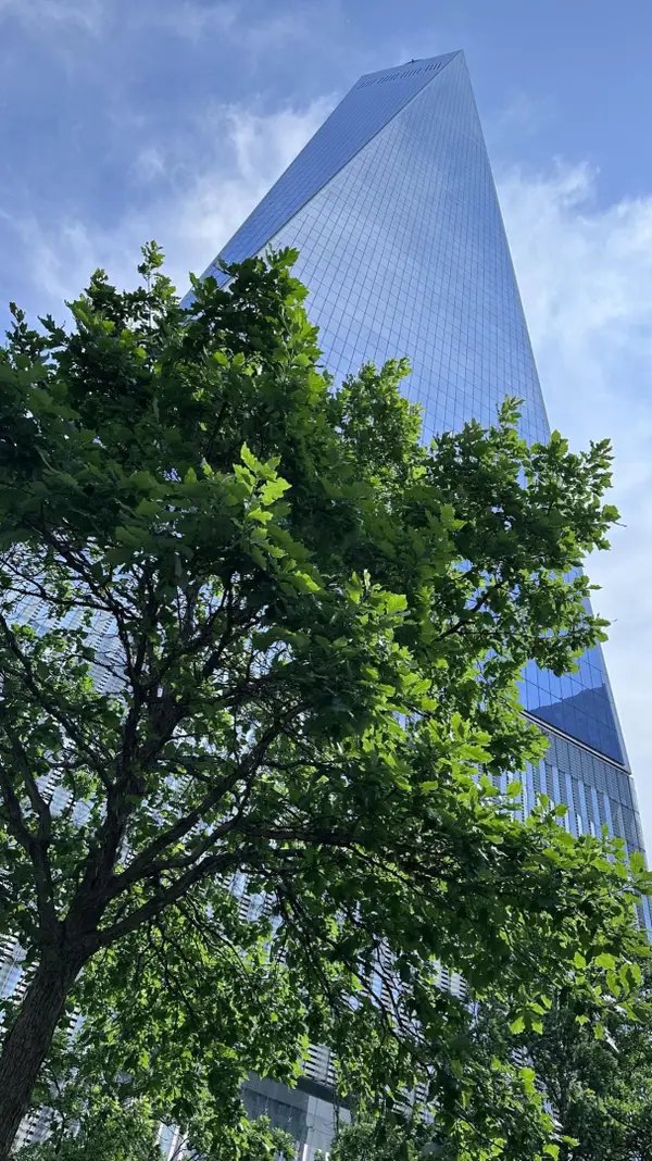 376 Broadway #7-C, Manhattan, NY 10013