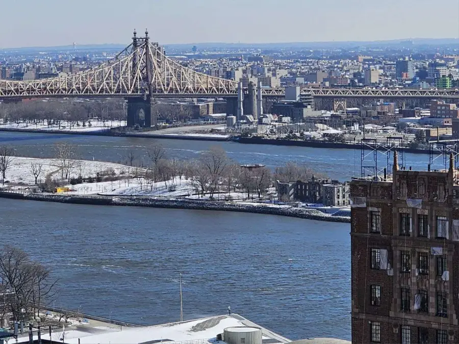 320 E 42nd Street #27th Fl, Manhattan, NY 10017 - #3