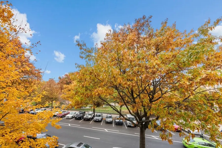 1919 Madison Avenue #317, New York, NY 10035 - #3