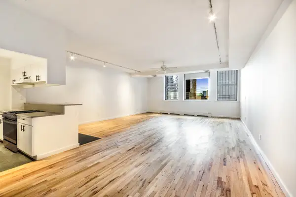 176 Broadway #10C, Manhattan, NY 10038