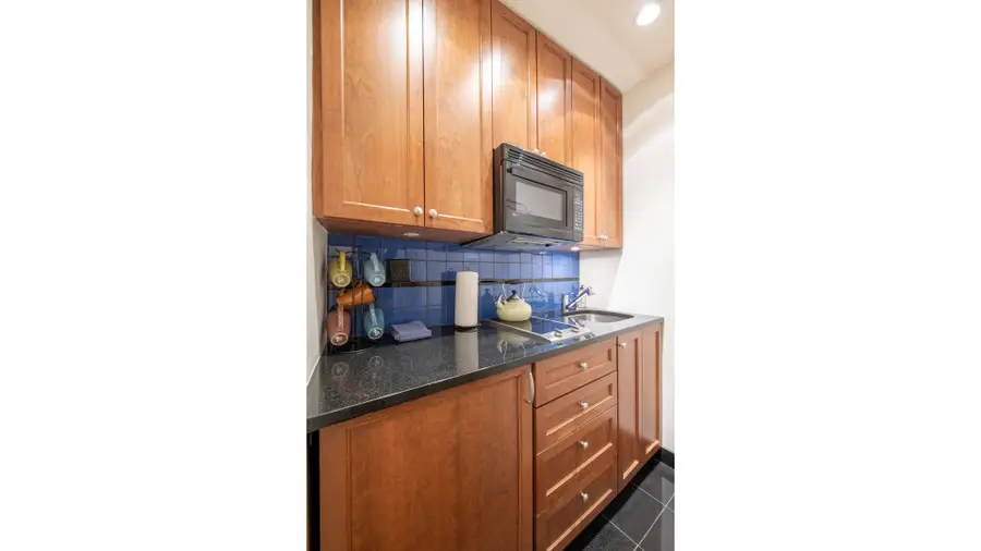 575 Park Avenue #1205, New York, NY 10065 - #3