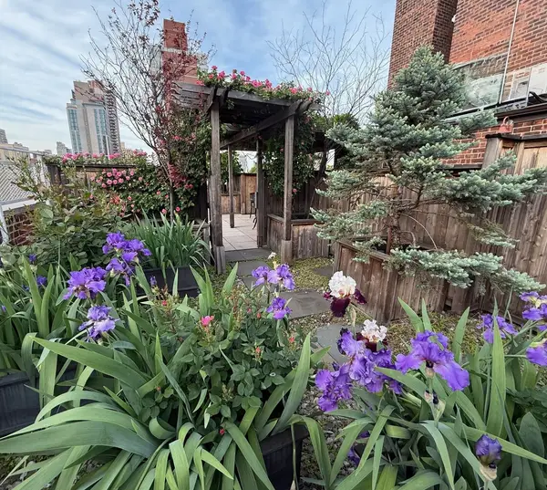 401 E 74th Street #8A, Manhattan, NY 10021