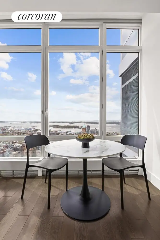 388 Bridge Street #PH46B, Brooklyn, NY 11201 - #3