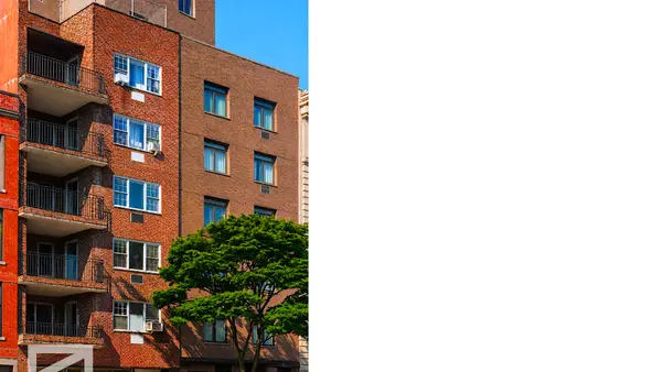 446 E 149th Street, Bronx, NY 10455