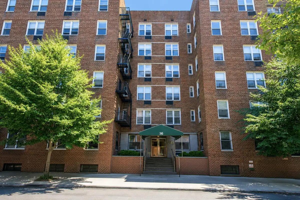 245 Henry Street #1-F, Brooklyn, NY 11201 - #1