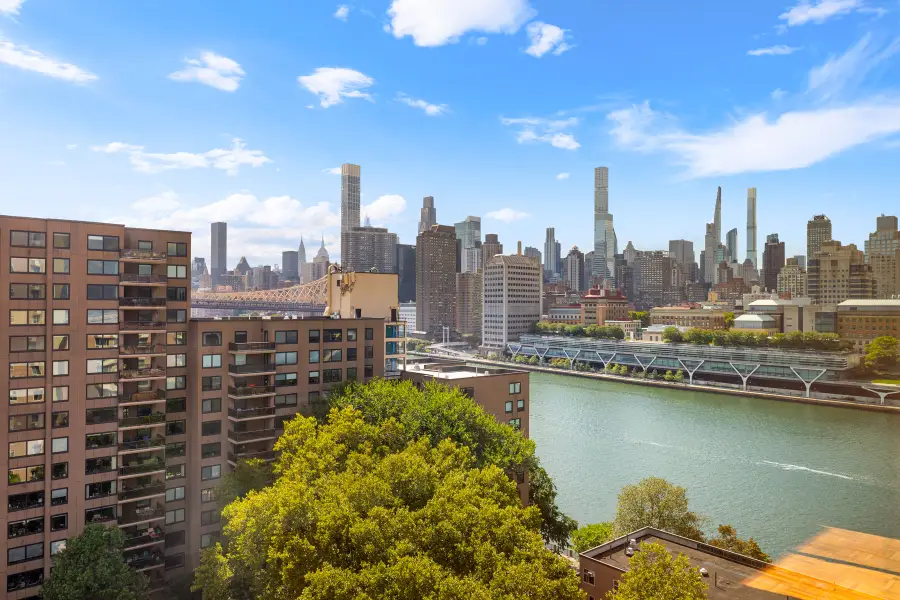 555 Main Street #1408, Manhattan, NY 10044 - #2