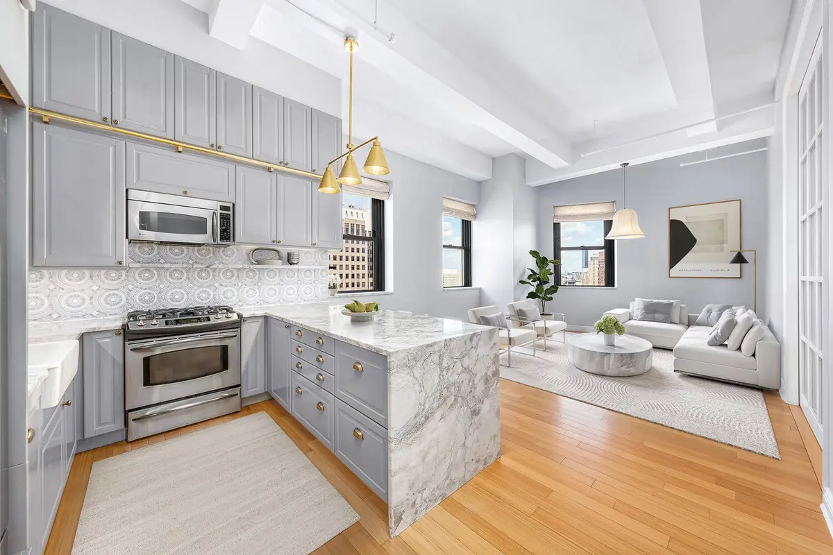 365 Bridge Street #22C, Brooklyn, NY 11201 - #1