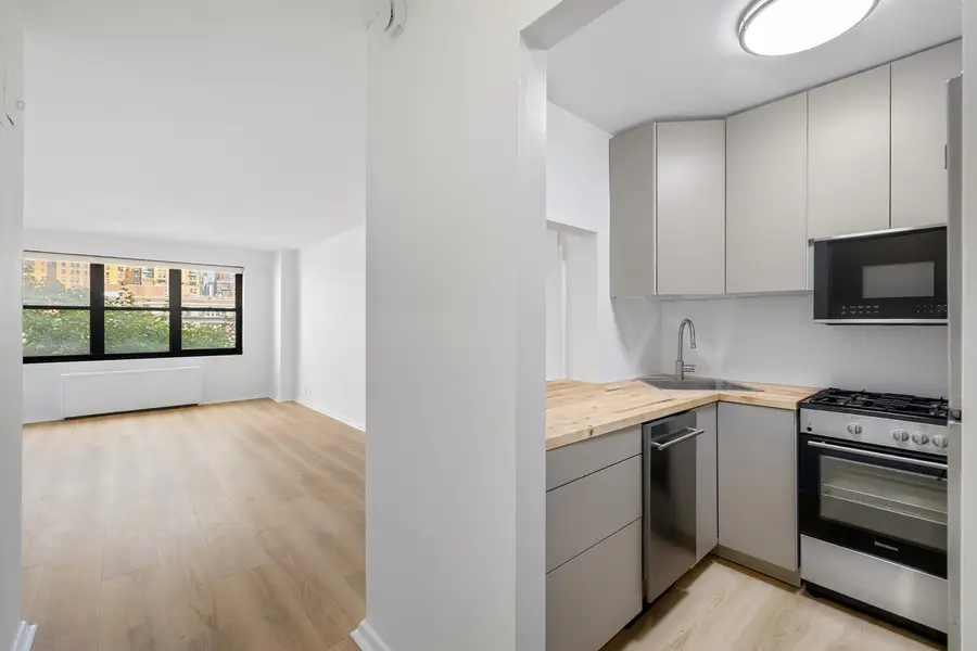 315 E 65th Street #APT8K, Manhattan, NY 10065 - #3