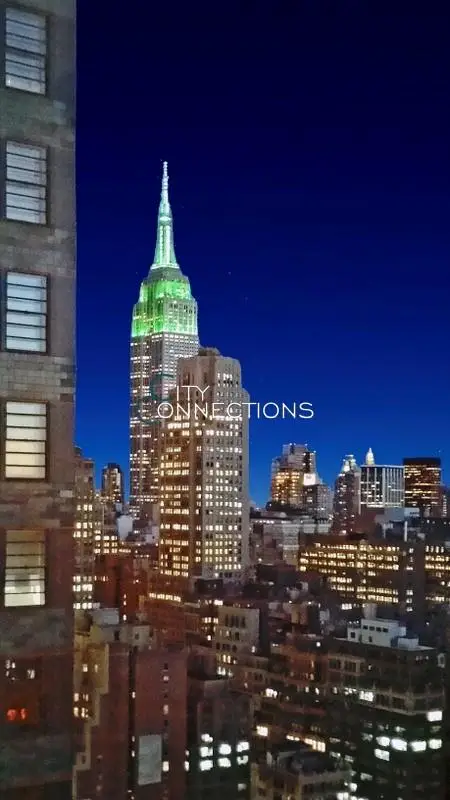 350 W 42nd Street #36-E, Manhattan, NY 10036 - #3