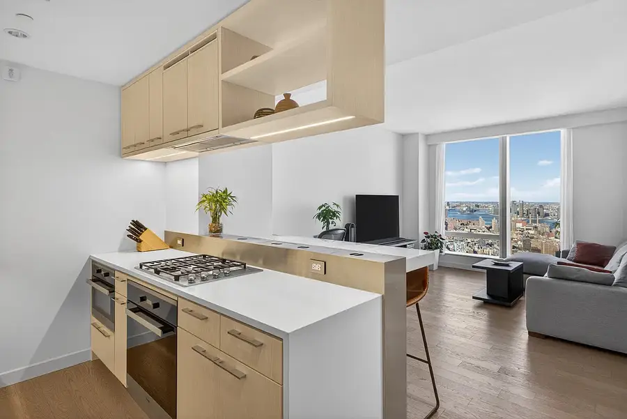 252 South Street #64G, New York, NY 10002 - #2