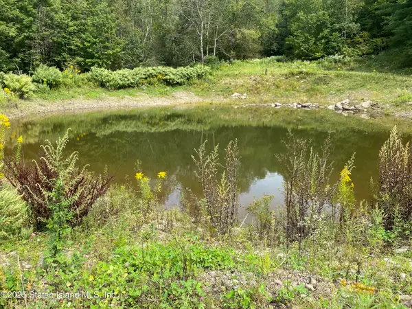 2340 Sands Creek Road, Hancock, NY 13783