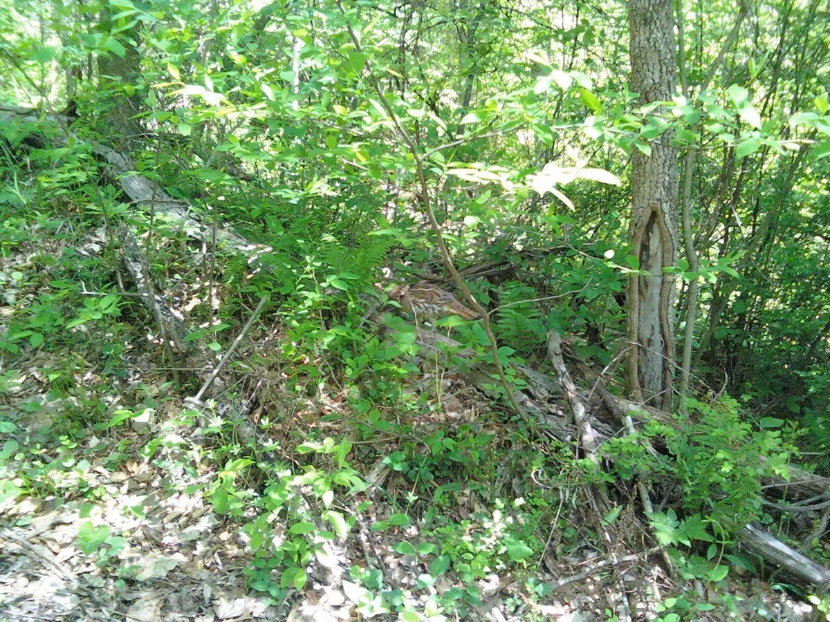 0 County Road 12, Corning, OH 43730 - Image #1