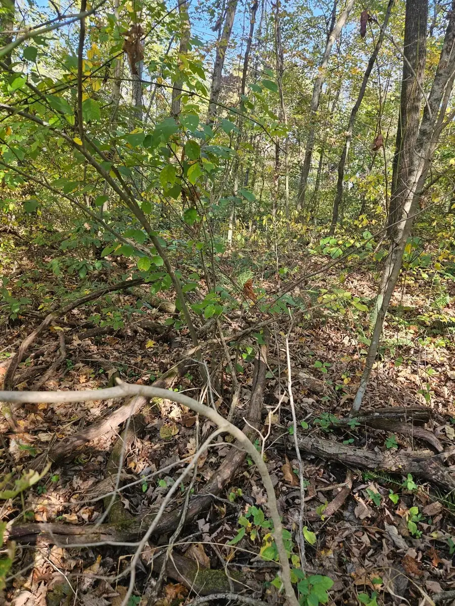 0 Heddleson Ridge, Lower Salem, OH 45745 - Image #2