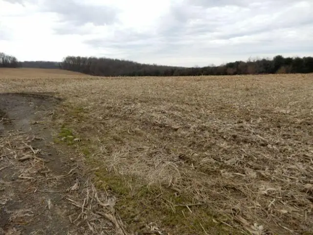 17970 Scott Road, Mount Vernon, OH 43050 - Image #2