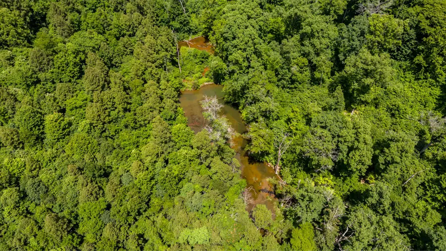 0 Little Road, New Straitsville, OH 43766 - Image #2