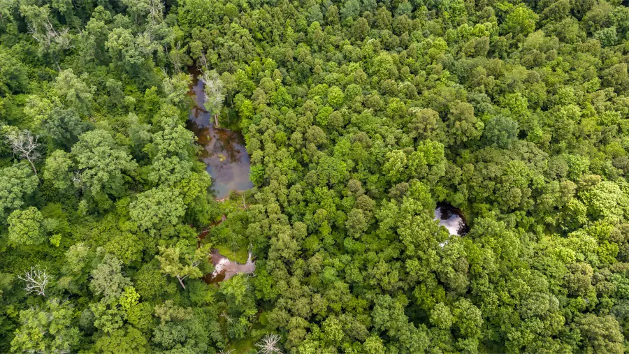 0 Little Road, New Straitsville, OH 43766 - Image #3