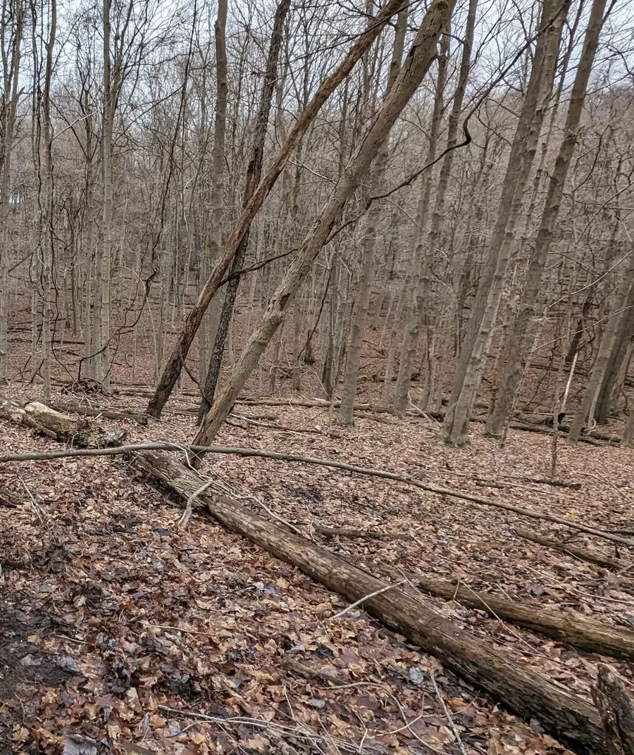 2984 Canyon Road, Granville, OH 43023 - Image #2