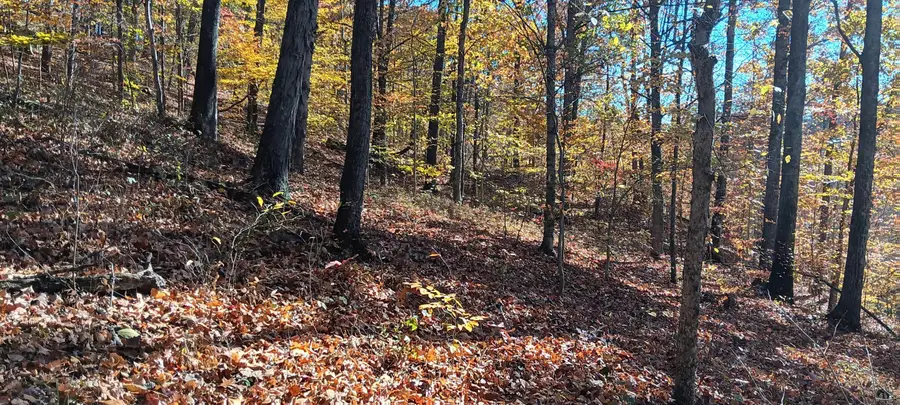 1462 Keystone Road, Vinton, OH 45686 - Image #2