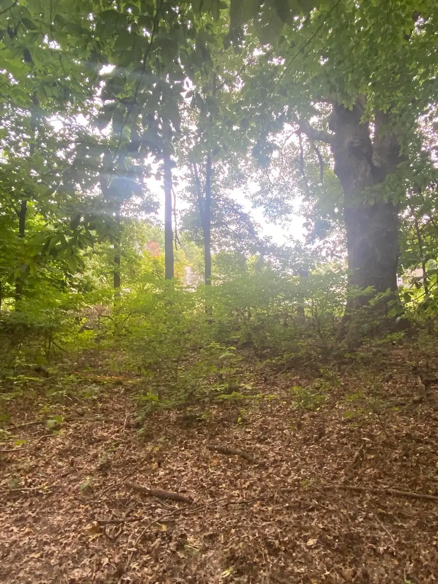 0 Paul Road, Westerville, OH 43082 - Image #3