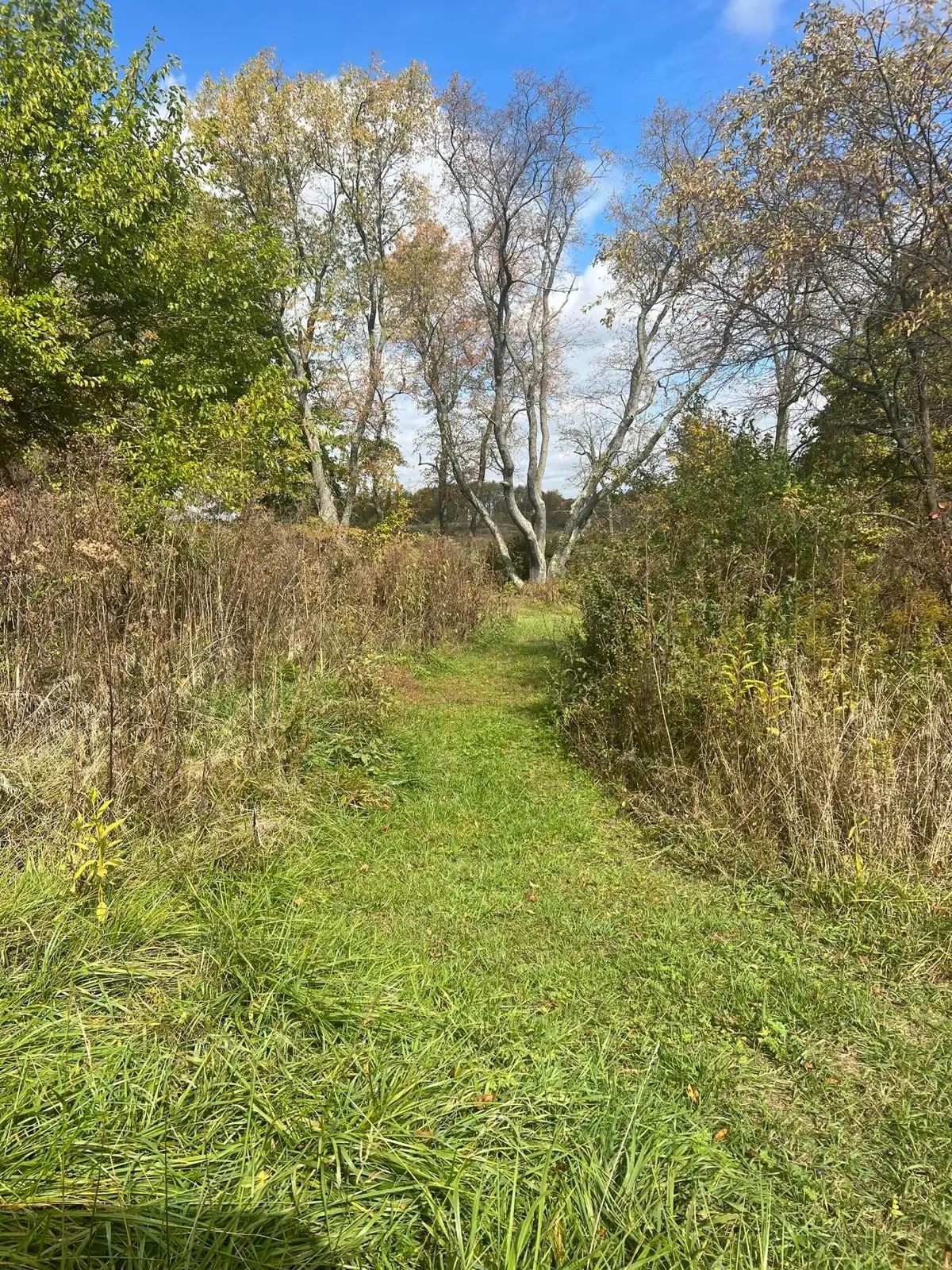 1698 Seven Hills Road Ne, Newark, OH 43055 - #1