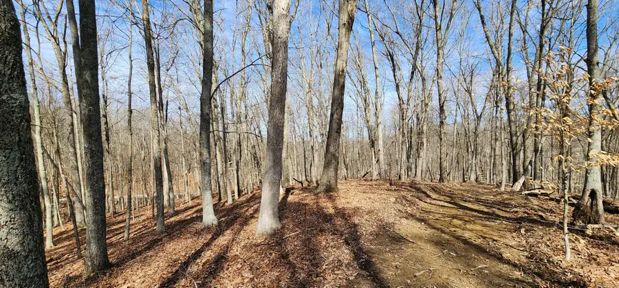 0 Edmunson Road, Vinton, OH 45686 - Image #2