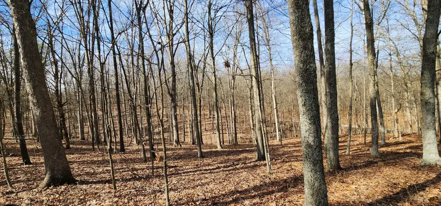 0 Edmunson Road, Vinton, OH 45686 - Image #3