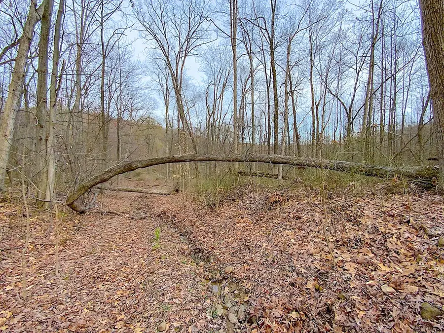 0 Beavers Ridge Road, Peebles, OH 45660 - Image #2