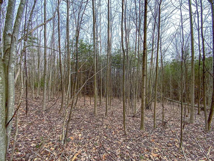 0 Beavers Ridge Road, Peebles, OH 45660 - Image #3