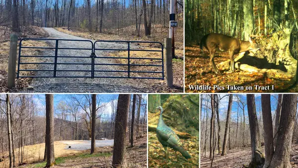 0 Pike Lake Rd Road, Bainbridge, OH 45612