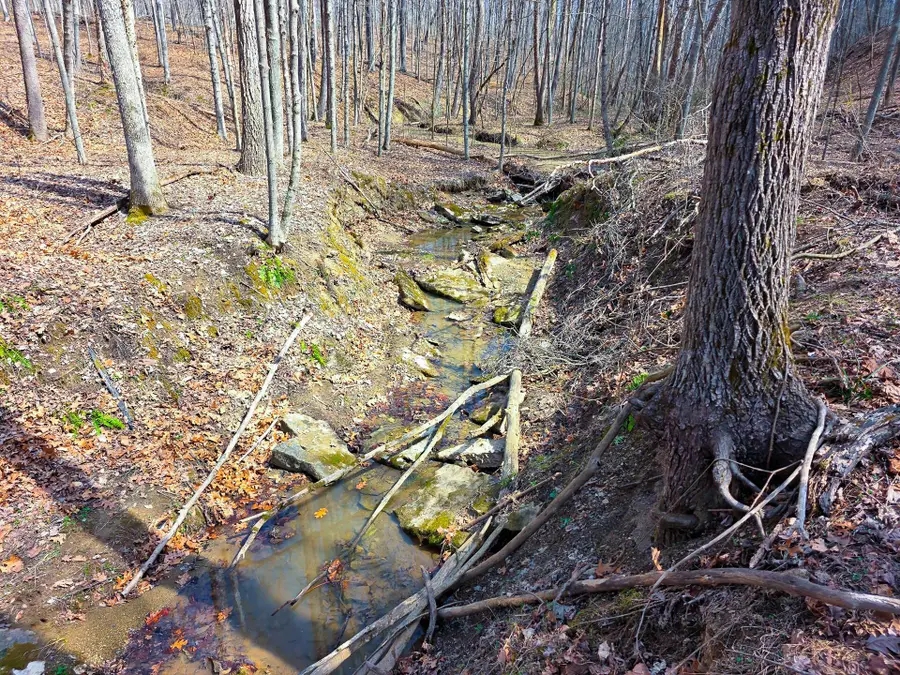 0 Edmunson Road, Vinton, OH 45686 - Image #3