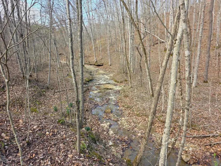 0 Edmunson Road, Vinton, OH 45686 - Image #2