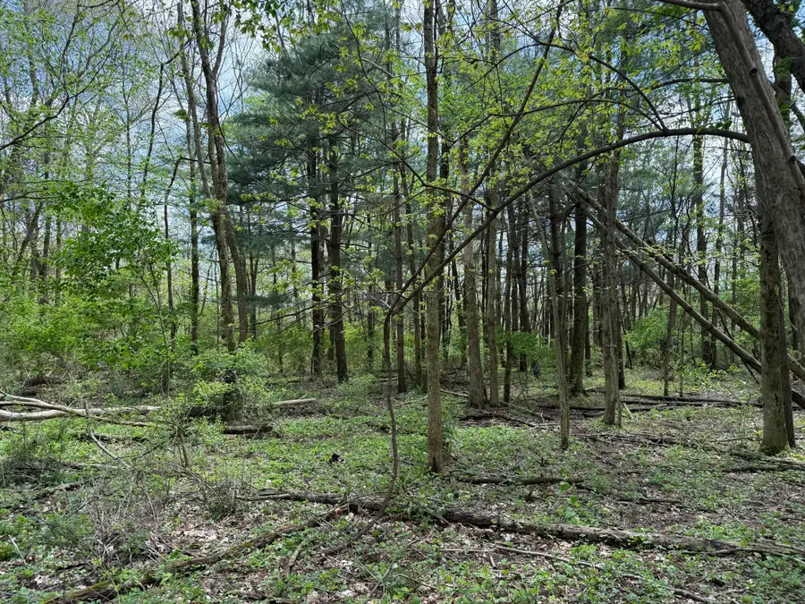 0 Dutch Lane Nw, Johnstown, OH 43031 - Image #3