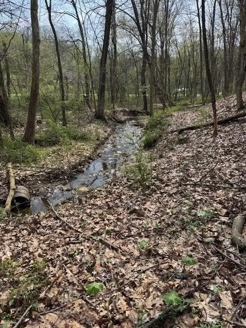 0 Walnut Dowler Road, Logan, OH 43138 - Image #1