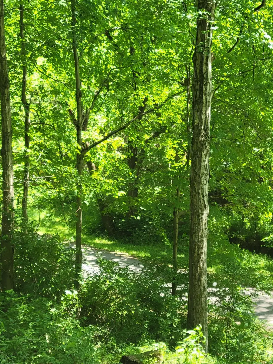 0 Avon Place Se, Buckeye Lake, OH 43008 - Image #3