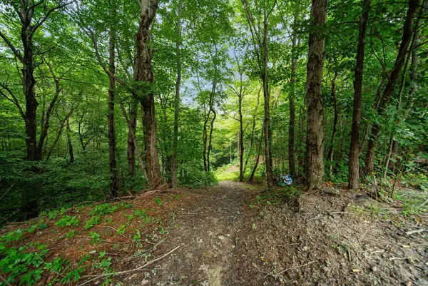 9758 Wesley Chapel Road, Mount Perry, OH 43760