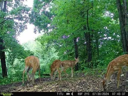 32964 Parkinson Road, Langsville, OH 45741 - Image #3