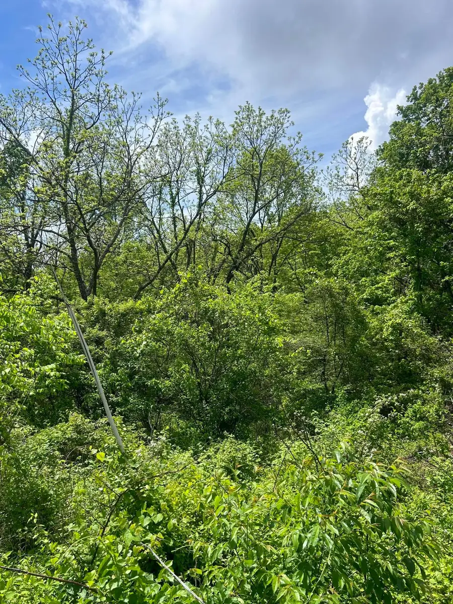 0 Buchanan Road, Waverly, OH 45690 - Image #2