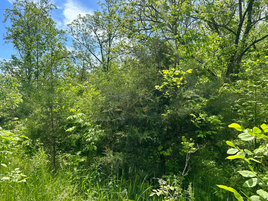 0 Buchanan Road, Waverly, OH 45690 - Image #3